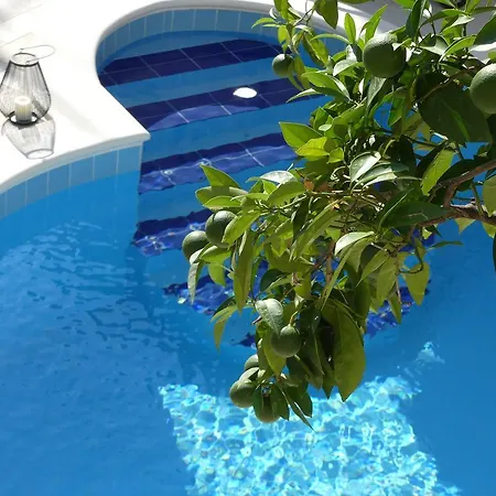 Villa Rose